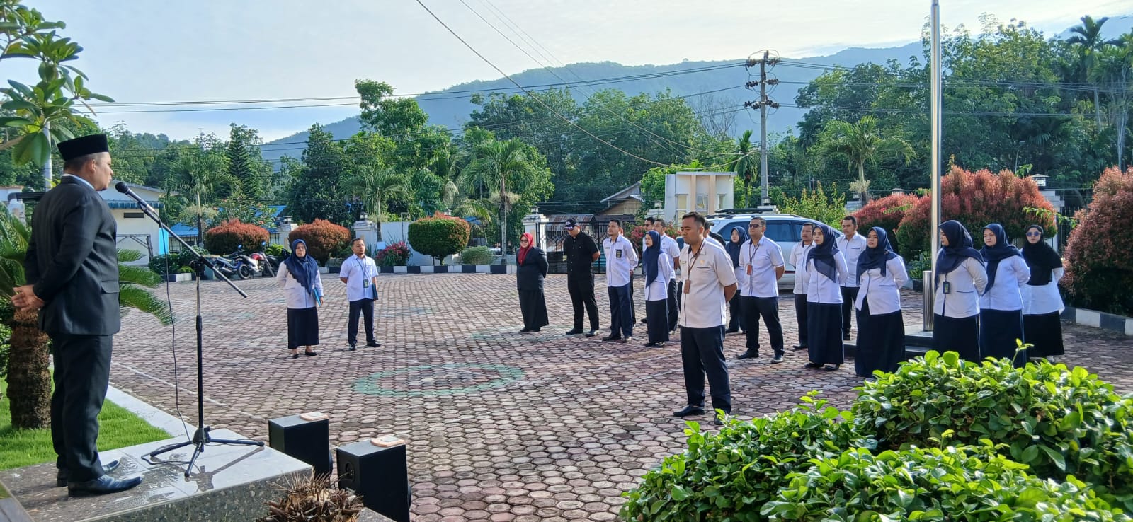 WhatsApp Image 2026 01 05 at 08.05.03