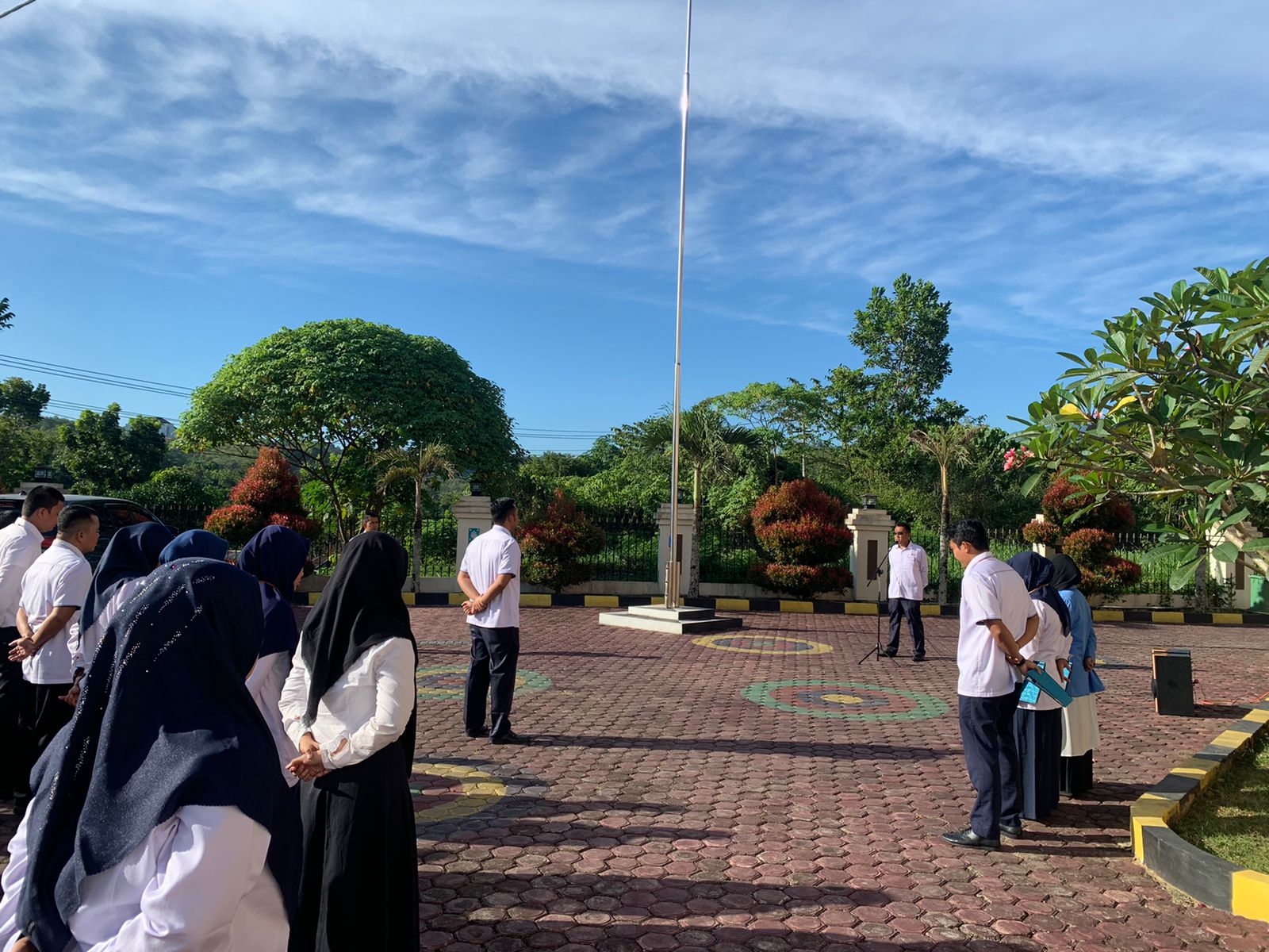 apelpagipapanyabungan080820222