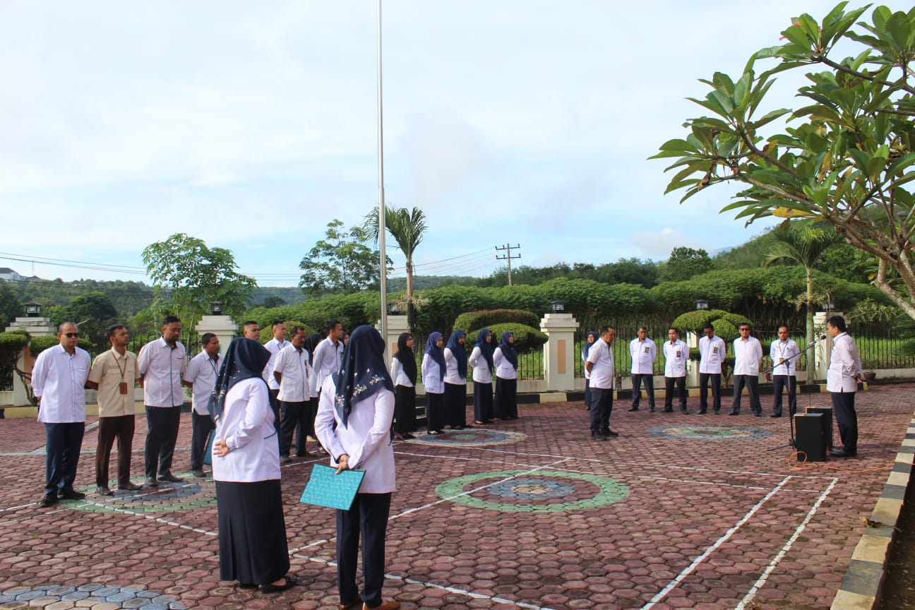 apelpagipapanyabunganhakimfadli13 05 20243