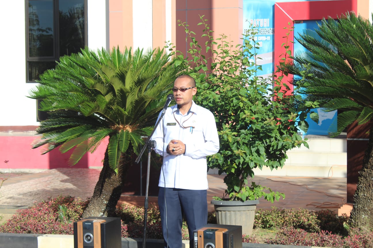 apelpagipapyb220420241