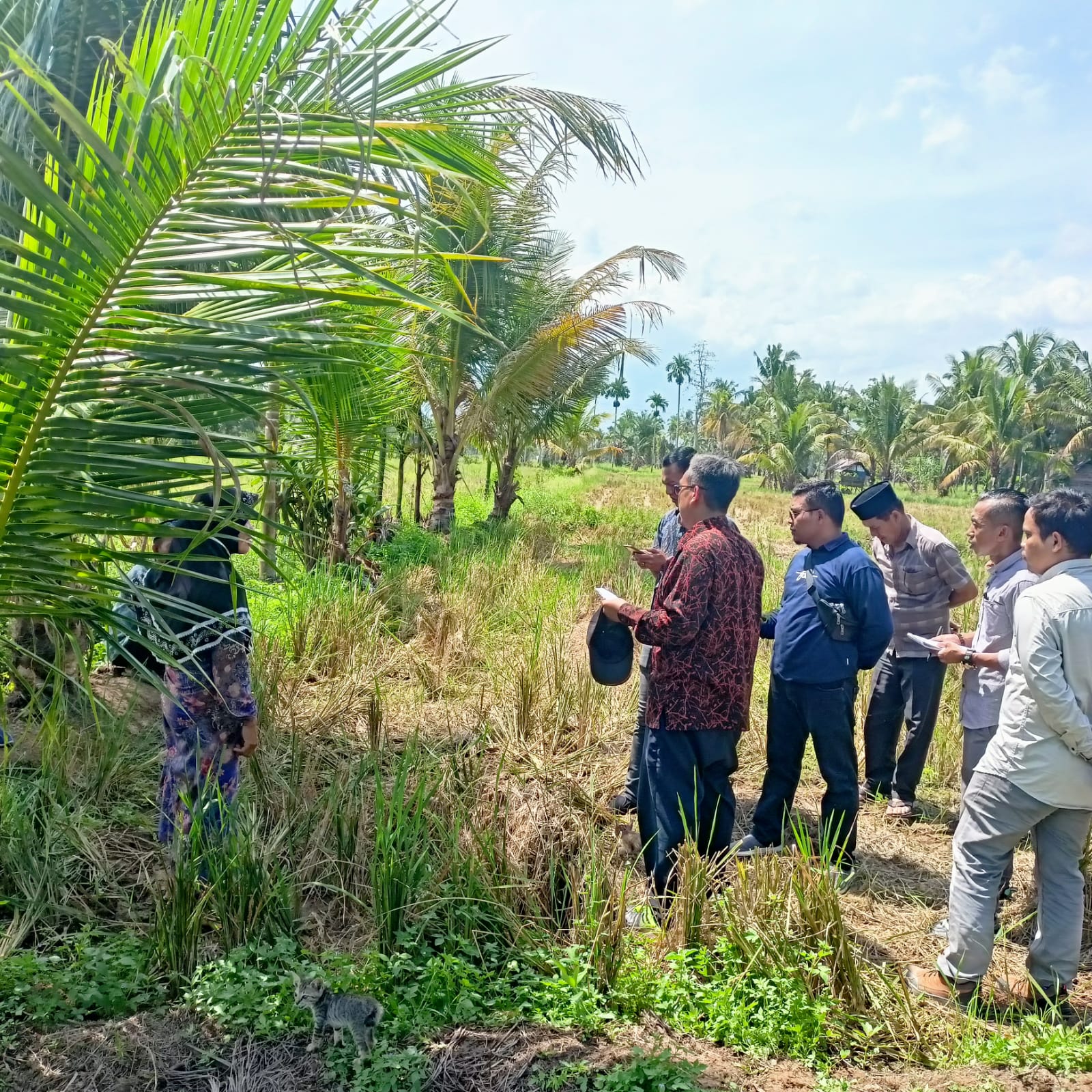 pemeriksaanstempatpapyb110520231