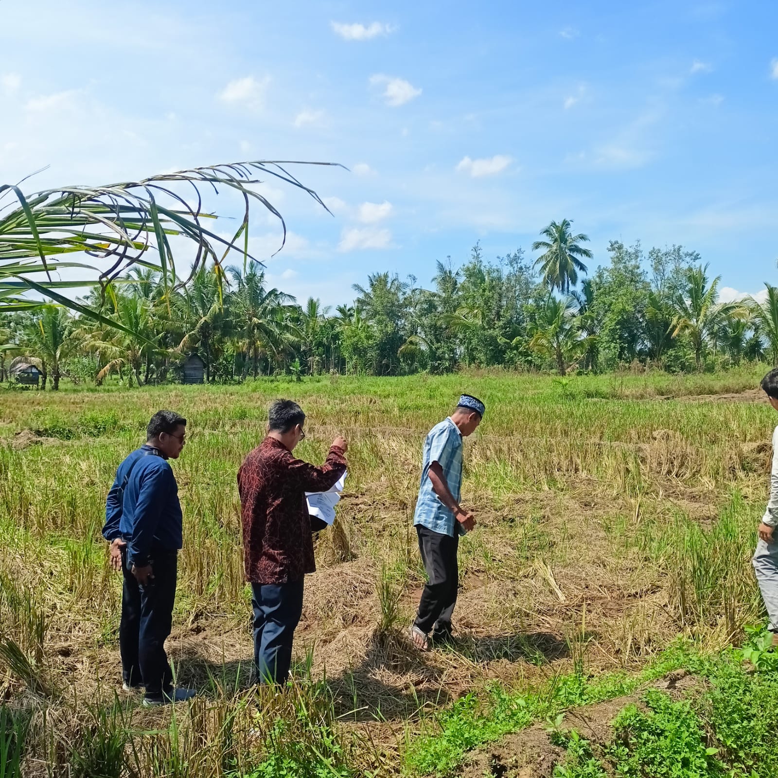 pemeriksaanstempatpapyb110520232